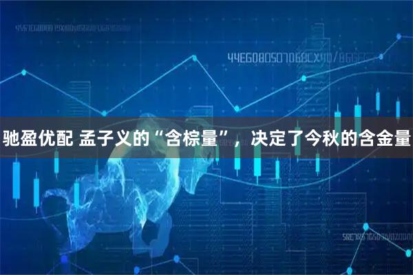 驰盈优配 孟子义的“含棕量”，决定了今秋的含金量