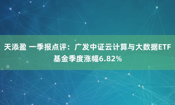 天添盈 一季报点评：广发中证云计算与大数据ETF基金季度涨幅6.82%