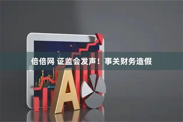 倍倍网 证监会发声！事关财务造假