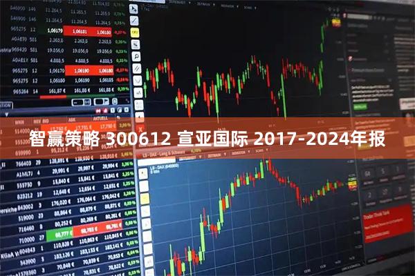 智赢策略 300612 宣亚国际 2017-2024年报