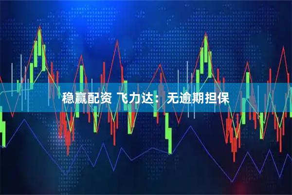 稳赢配资 飞力达：无逾期担保