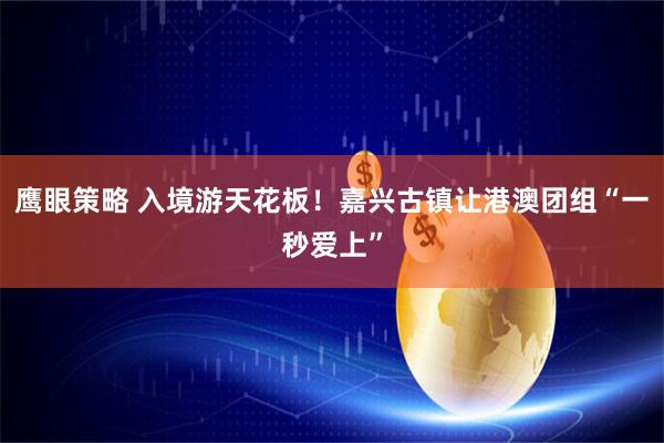 鹰眼策略 入境游天花板！嘉兴古镇让港澳团组“一秒爱上”