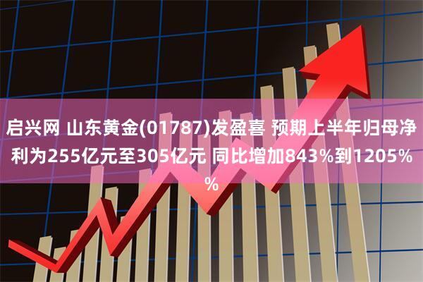 启兴网 山东黄金(01787)发盈喜 预期上半年归母净利为255亿元至305亿元 同比增加843%到1205%